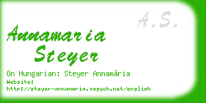 annamaria steyer business card