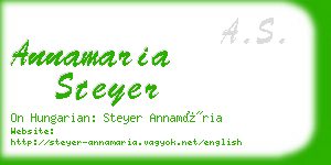 annamaria steyer business card